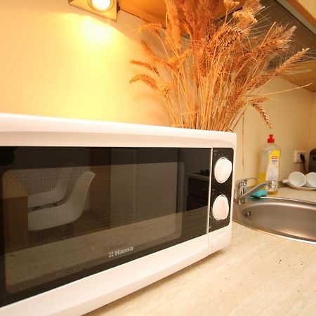 Studio Cozy 티미쇼아라 외부 사진