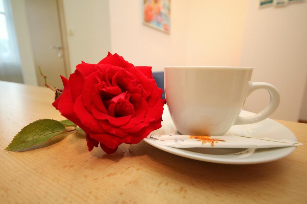 Studio Cozy 티미쇼아라 외부 사진